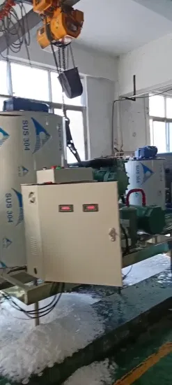 Lier 高品質長期保証省エネインテリジェントフレーク製氷機 (300kg/24 時間)